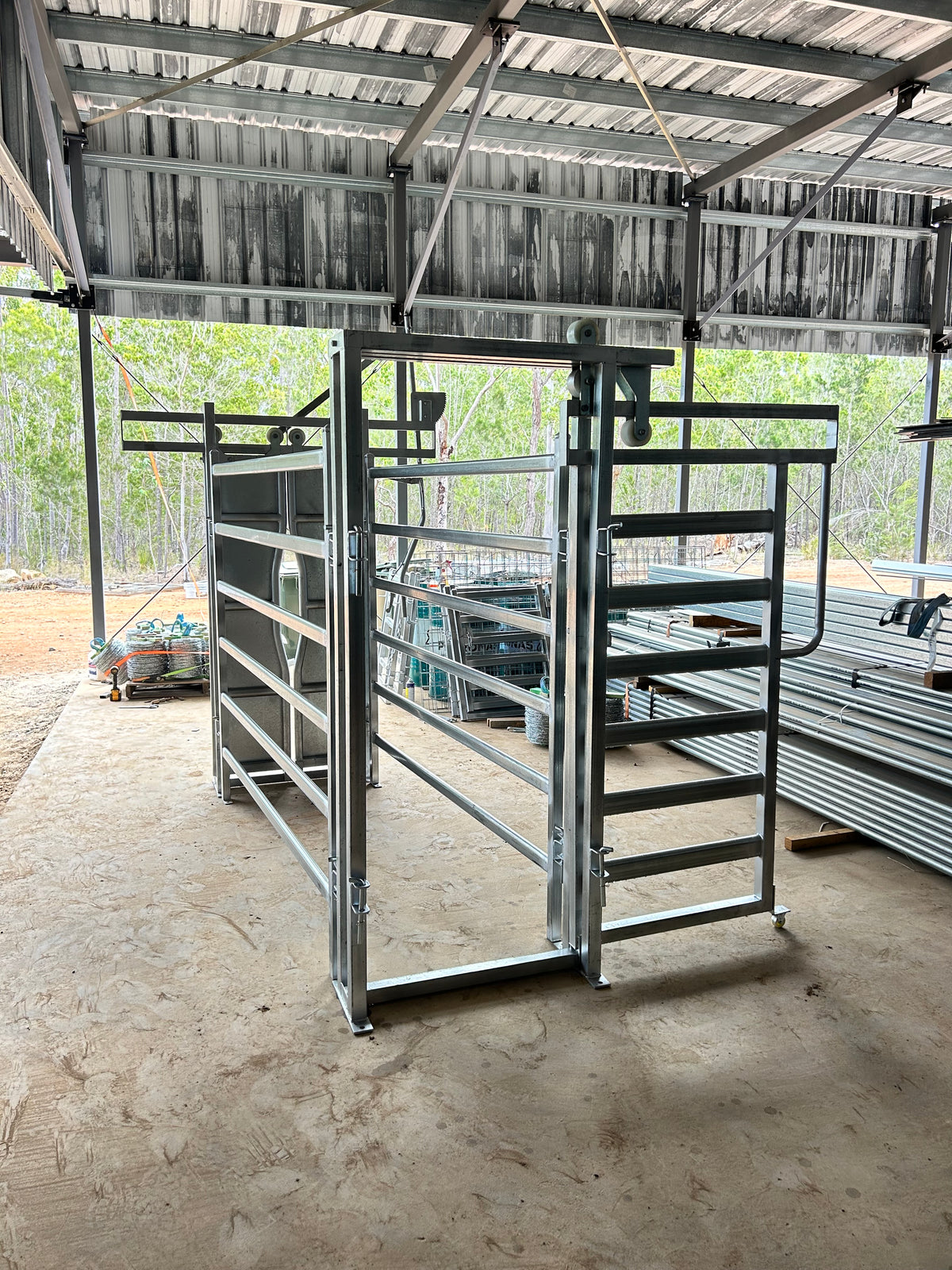 Cattle Crush With Auto Headbail